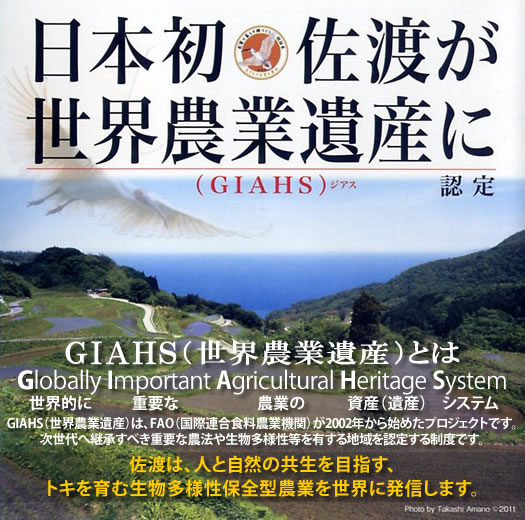 日本初 佐渡が世界農業遺産GIAHSに認定